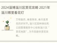 2024淄博淄川区赏花攻略 2021年淄川哪里看花灯