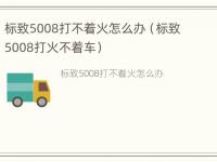 标致5008打不着火怎么办（标致5008打火不着车）