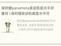 保时捷panamera发动机是水平对置吗（保时捷发动机都是水平对置吗）