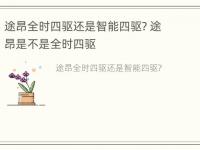 途昂全时四驱还是智能四驱? 途昂是不是全时四驱