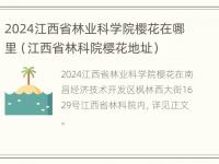 2024江西省林业科学院樱花在哪里（江西省林科院樱花地址）