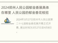 2024郑州人民公园郁金香展具体在哪里 人民公园的郁金香花枝招展引来游客们的一片赞叹