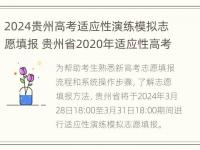 2024贵州高考适应性演练模拟志愿填报 贵州省2020年适应性高考