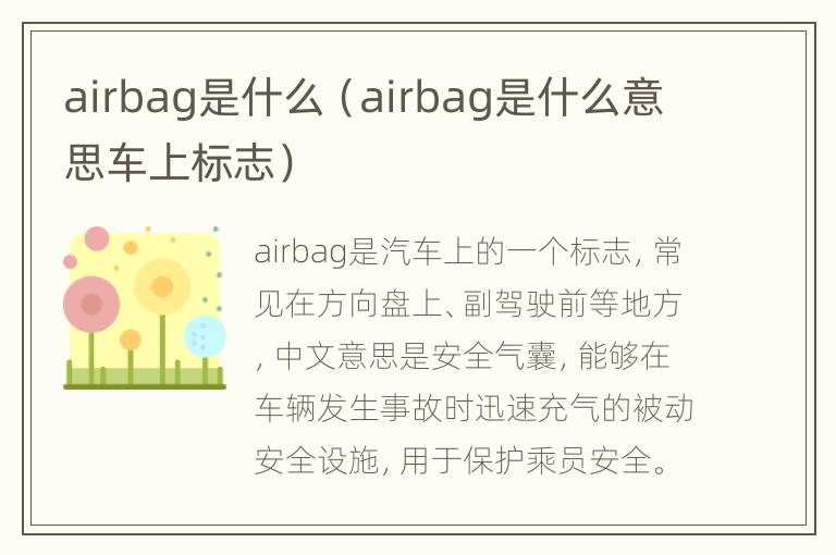 airbag是什么（airbag是什么意思车上标志）