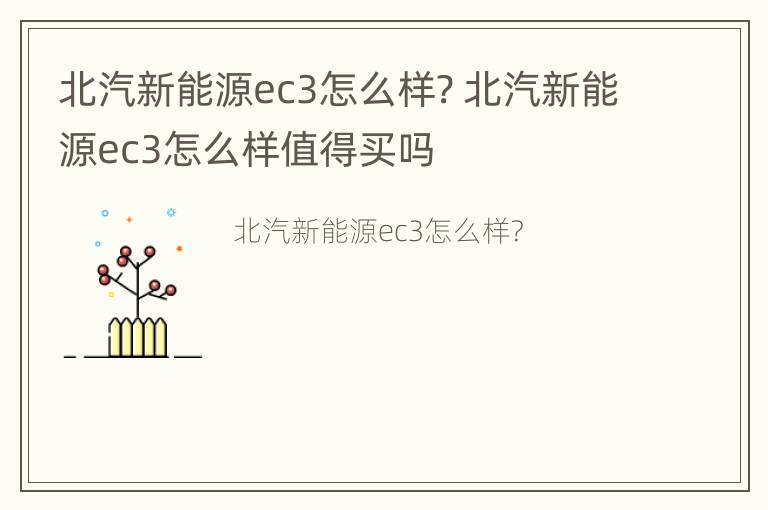 北汽新能源ec3怎么样? 北汽新能源ec3怎么样值得买吗