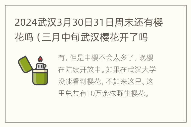 2024武汉3月30日31日周末还有樱花吗（三月中旬武汉樱花开了吗）