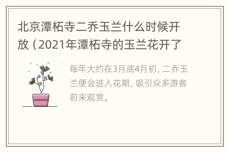 北京潭柘寺二乔玉兰什么时候开放（2021年潭柘寺的玉兰花开了吗）