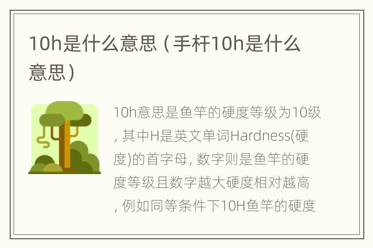 10h是什么意思（手杆10h是什么意思）