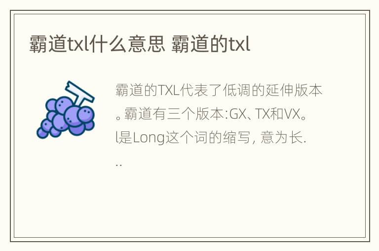 霸道txl什么意思 霸道的txl