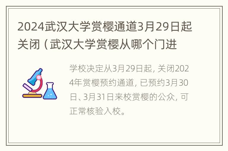 2024武汉大学赏樱通道3月29日起关闭（武汉大学赏樱从哪个门进去）