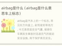 airbag是什么（airbag是什么意思车上标志）