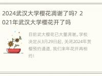 2024武汉大学樱花凋谢了吗？ 2021年武汉大学樱花开了吗