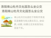 洛阳南山牡丹文化园怎么坐公交 洛阳南山牡丹文化园怎么坐公交车去