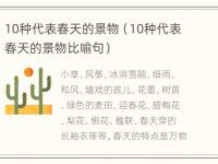 10种代表春天的景物（10种代表春天的景物比喻句）