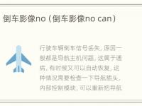 倒车影像no（倒车影像no can）