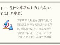 peps是什么意思车上的（汽车pep是什么意思）