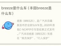 breeze是什么车（丰田breeze是什么车）