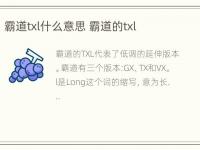 霸道txl什么意思 霸道的txl