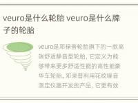 veuro是什么轮胎 veuro是什么牌子的轮胎