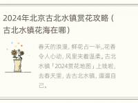 2024年北京古北水镇赏花攻略（古北水镇花海在哪）