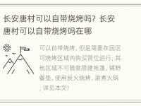 长安唐村可以自带烧烤吗？ 长安唐村可以自带烧烤吗在哪