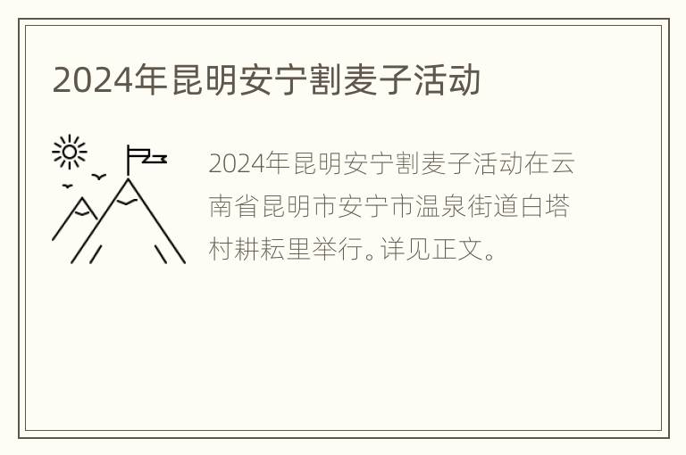 2024年昆明安宁割麦子活动