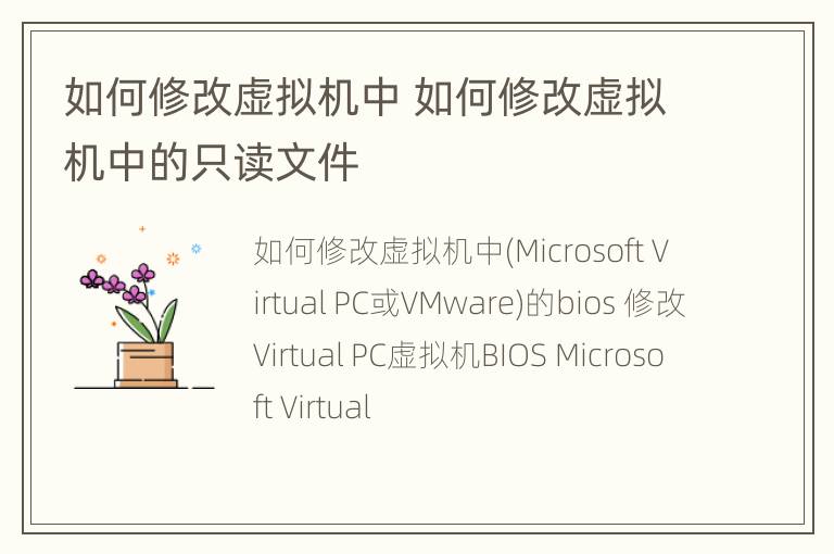 如何修改虚拟机中 如何修改虚拟机中的只读文件