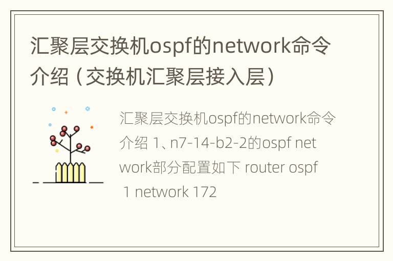 汇聚层交换机ospf的network命令介绍（交换机汇聚层接入层）