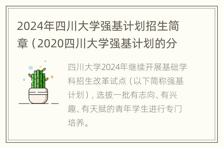 2024年四川大学强基计划招生简章（2020四川大学强基计划的分数线是多少）