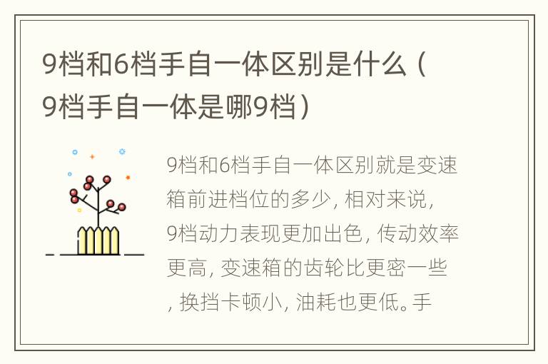 9档和6档手自一体区别是什么（9档手自一体是哪9档）