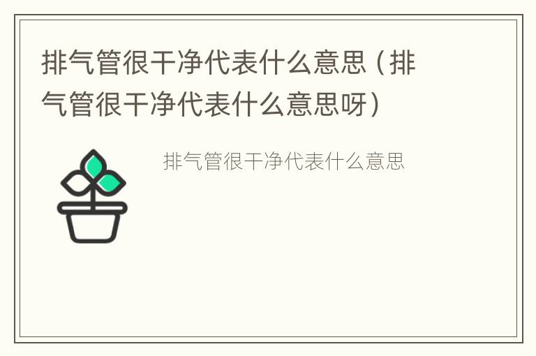 排气管很干净代表什么意思（排气管很干净代表什么意思呀）