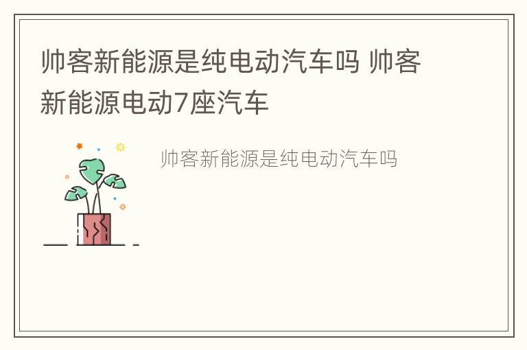 帅客新能源是纯电动汽车吗 帅客新能源电动7座汽车