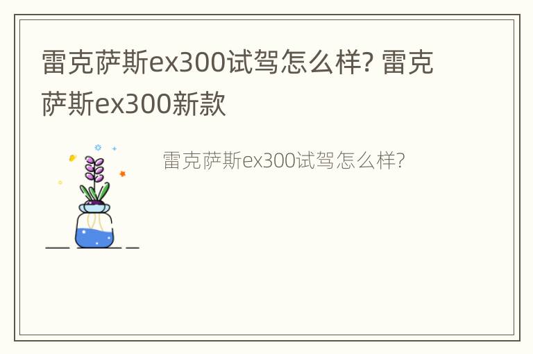 雷克萨斯ex300试驾怎么样? 雷克萨斯ex300新款