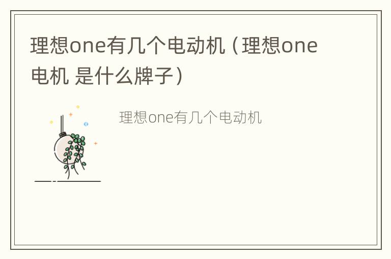 理想one有几个电动机（理想one电机 是什么牌子）