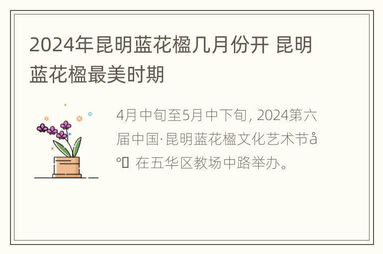 2024年昆明蓝花楹几月份开 昆明蓝花楹最美时期