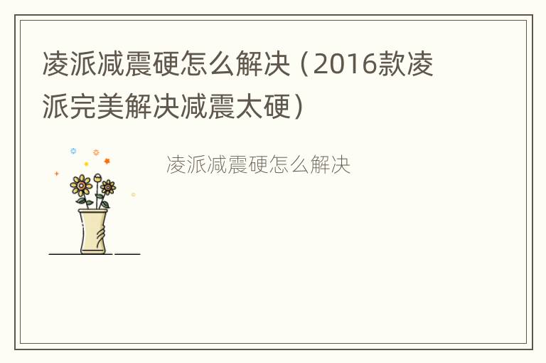 凌派减震硬怎么解决（2016款凌派完美解决减震太硬）