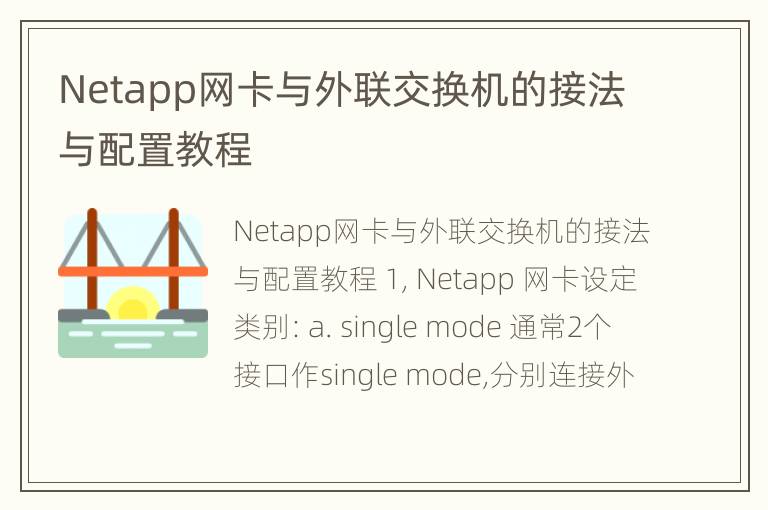 Netapp网卡与外联交换机的接法与配置教程