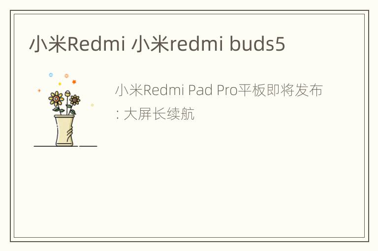 小米Redmi 小米redmi buds5