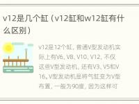 v12是几个缸（v12缸和w12缸有什么区别）