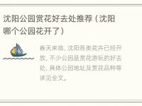 沈阳公园赏花好去处推荐（沈阳哪个公园花开了）