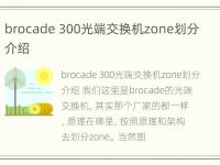 brocade 300光端交换机zone划分介绍