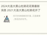 2024大连大黑山杜鹃花花期最新消息 2021大连大黑山杜鹃花开了吗