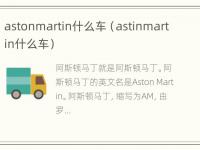 astonmartin什么车（astinmartin什么车）