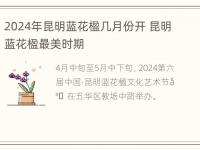 2024年昆明蓝花楹几月份开 昆明蓝花楹最美时期