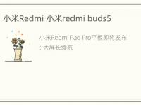 小米Redmi 小米redmi buds5