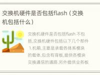 交换机硬件是否包括flash（交换机包括什么）