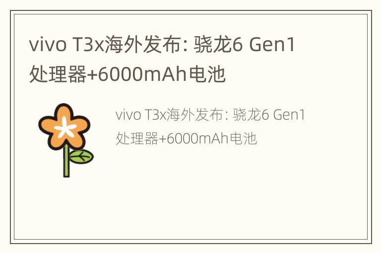 vivo T3x海外发布：骁龙6 Gen1处理器+6000mAh电池