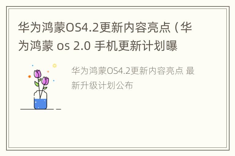 华为鸿蒙OS4.2更新内容亮点（华为鸿蒙 os 2.0 手机更新计划曝光!90%机型都能升!）