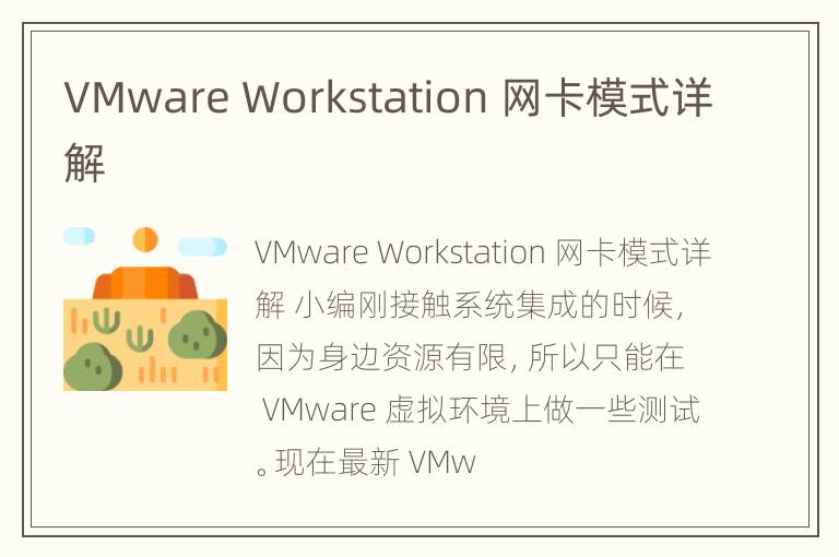 VMware Workstation 网卡模式详解