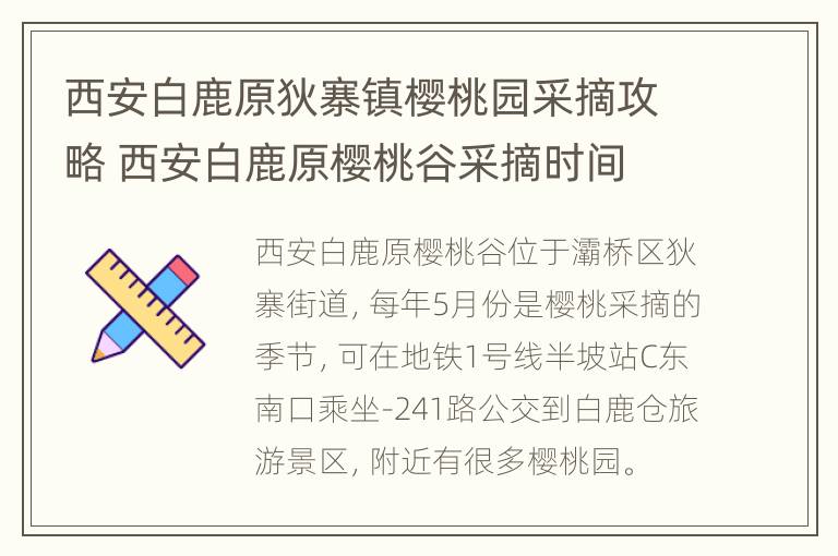 西安白鹿原狄寨镇樱桃园采摘攻略 西安白鹿原樱桃谷采摘时间